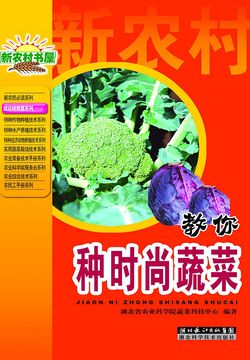 就是这样致富丛书 教你种时尚蔬菜 封面
