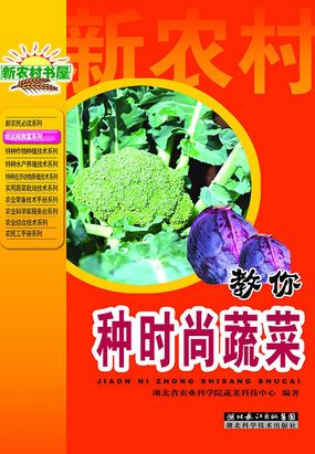 就是这样致富丛书 教你种时尚蔬菜在线阅读