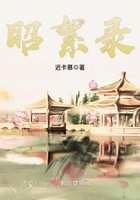 昭絮錄在線閱讀