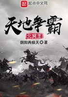 天地争霸北冥王在线阅读