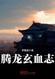 腾龙玄血志
