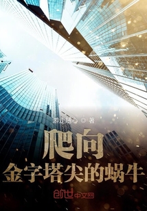 爬向金字塔尖的蝸牛