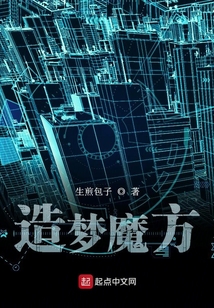 造夢魔方