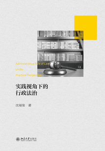 實踐視角下的行政法治