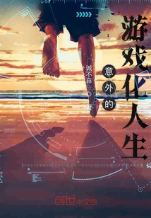 意外的游戏化人生