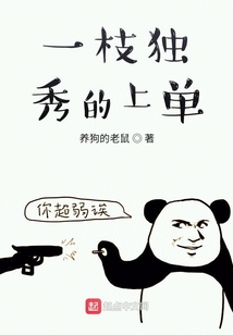 一枝獨秀的上單