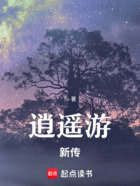 逍遥游新传在线阅读