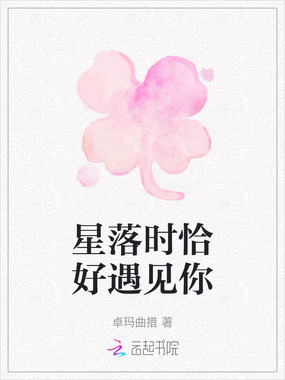 星落时恰好遇见你在线阅读