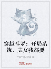 穿越斗罗：开局系统，美女我都要在线阅读