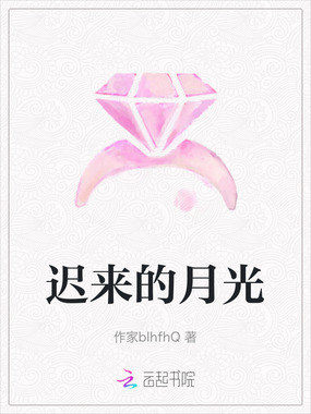 迟来的月光在线阅读