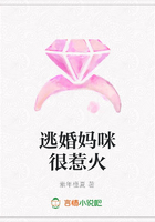 逃婚媽咪很惹火在線閱讀