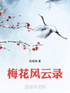 梅花风云录在线阅读