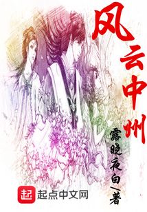 风云中州 cover