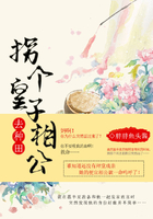 拐个皇子相公去种田