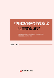 中国新农村建设资金配置效率研究