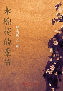 木棉花的季节