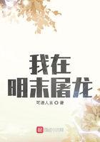 我在明末屠龙