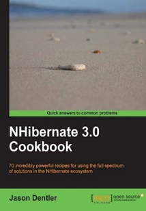 NHibernate 3.0 Cookbook