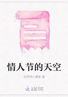 情人節的天空在線閱讀