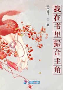我在書里撮合主角