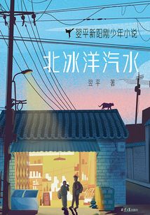 北冰洋汽水