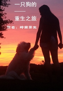 一只狗的重生之旅