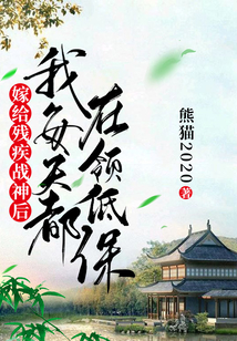 嫁給殘疾戰神后我每天都在領低保