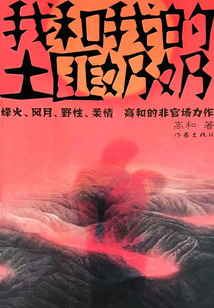 我和我的土匪奶奶