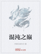 混沌之巅在线阅读