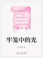 牢笼中的光在线阅读