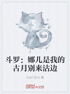 斗罗:娜儿是我的古月别来沾边在线阅读