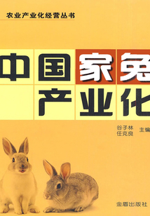 中國家兔產業化