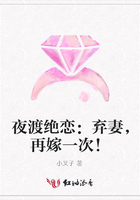 夜渡絕戀：棄妻，再嫁一次！在線閱讀