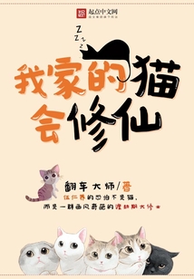 我家的猫会修仙