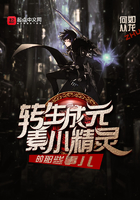 轉(zhuǎn)生成元素小精靈的那些事兒在線閱讀