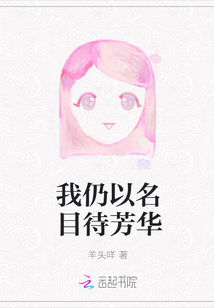 我仍以名目待芳華