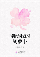 別動我的胡蘿卜在線閱讀