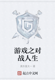 游戲之對戰人生