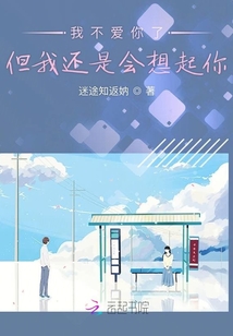 我不爱你了但我还是会想起你