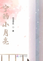 宁的小月亮在线阅读