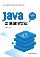Java网络编程实战