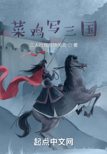 菜雞寫三國