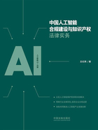 中国人工智能合规建设与知识产权法律实务在线阅读