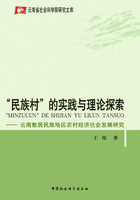 “民族村”的实践与理论探索：云南散居民族地区农村经济社会发展研究