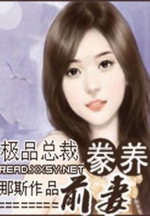 极品总裁豢养前妻