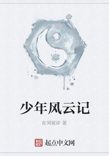 少年風云記