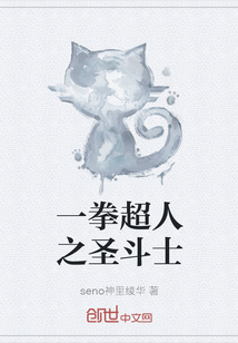 一拳超人之圣斗士