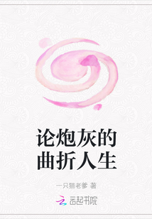 論炮灰的曲折人生