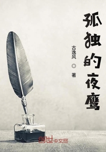 孤獨的夜鷹