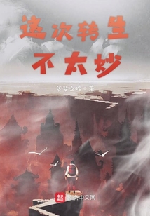 這次轉(zhuǎn)生不太妙